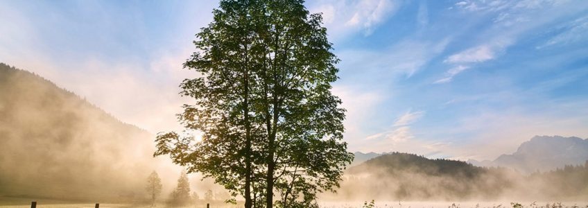 Letraset sheets containing lorem passages